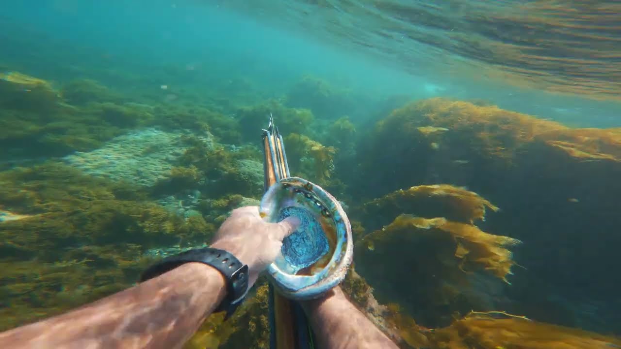 First time Spearfishing at Two Harbors in Catalina Island!