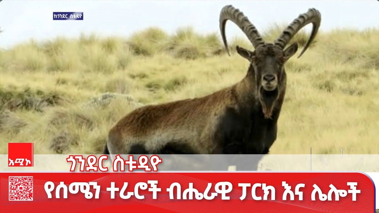 ጎንደር ስቱዲዮ ዜና: ጥር 26/2018 ዓ.ም #ዜና #አሚኮ