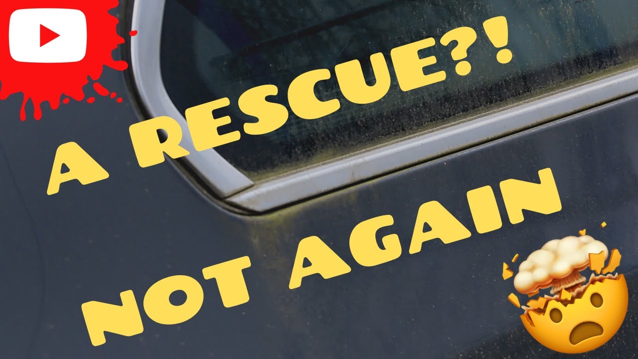 Against My Principles - Another Rescue Project! A Car Without Gearbox :)