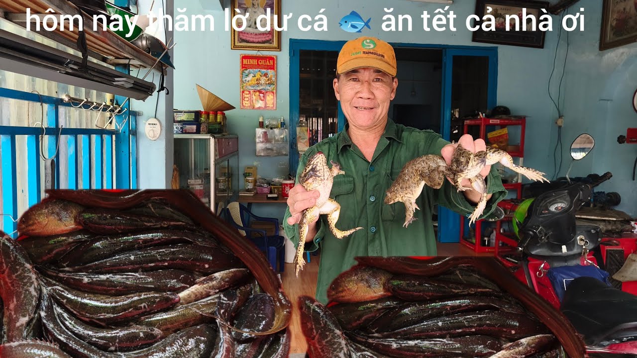 Hôm nay thăm lờ dư cá 🐟 ăn tết cả nhà ơi quá đã 