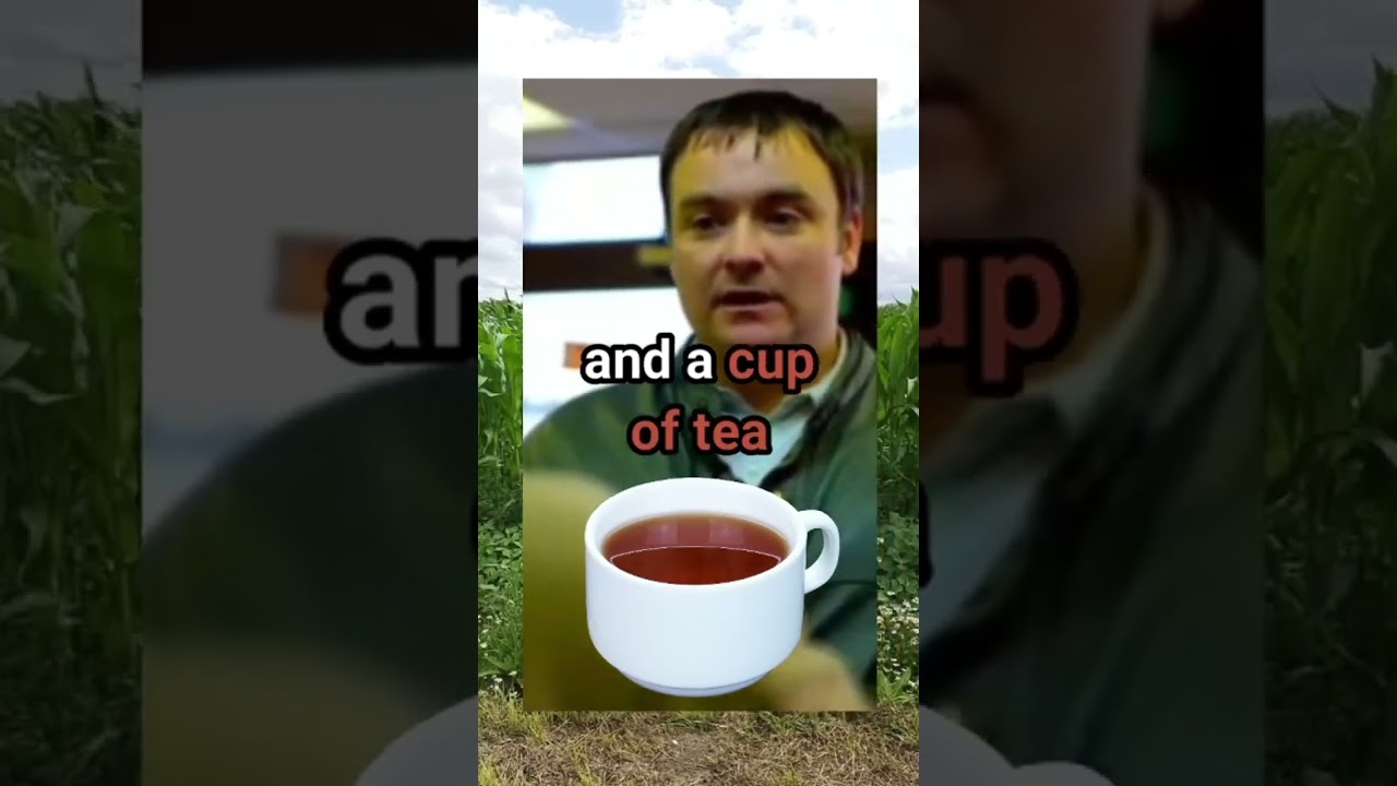 Диета для набора массы Пьетре Утопия