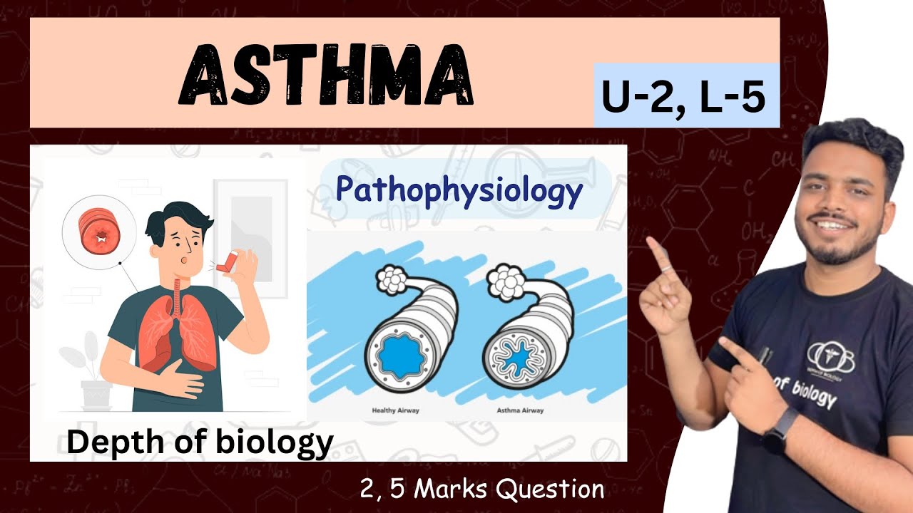 Asthma || asthma pathophysiology || asthma pathophysiology b pharmacy || asthma notes #asthma