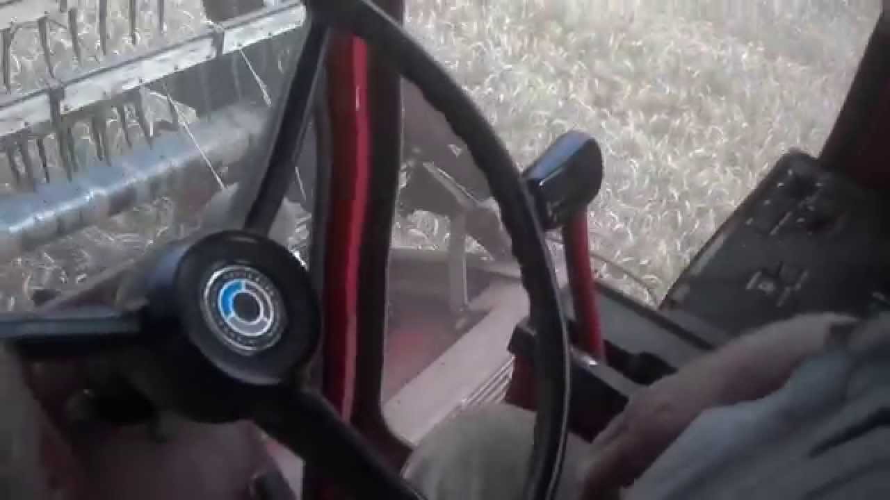 Wheat harvest 2014 with ih 1420 combine part 1