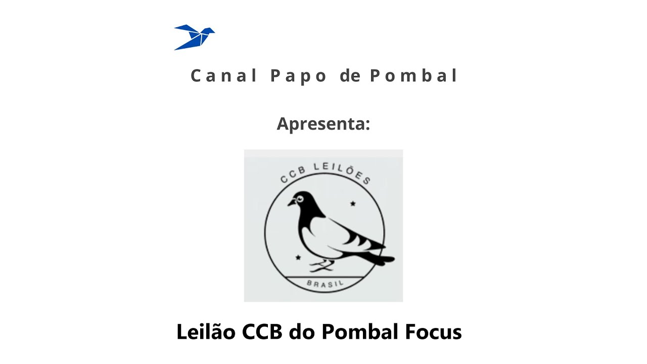 Leilão CCB do Pombal Focus 2024 Vídeo