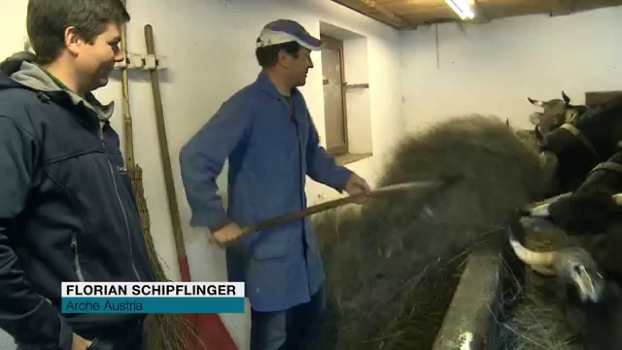 Langlebig, g´sund, robust