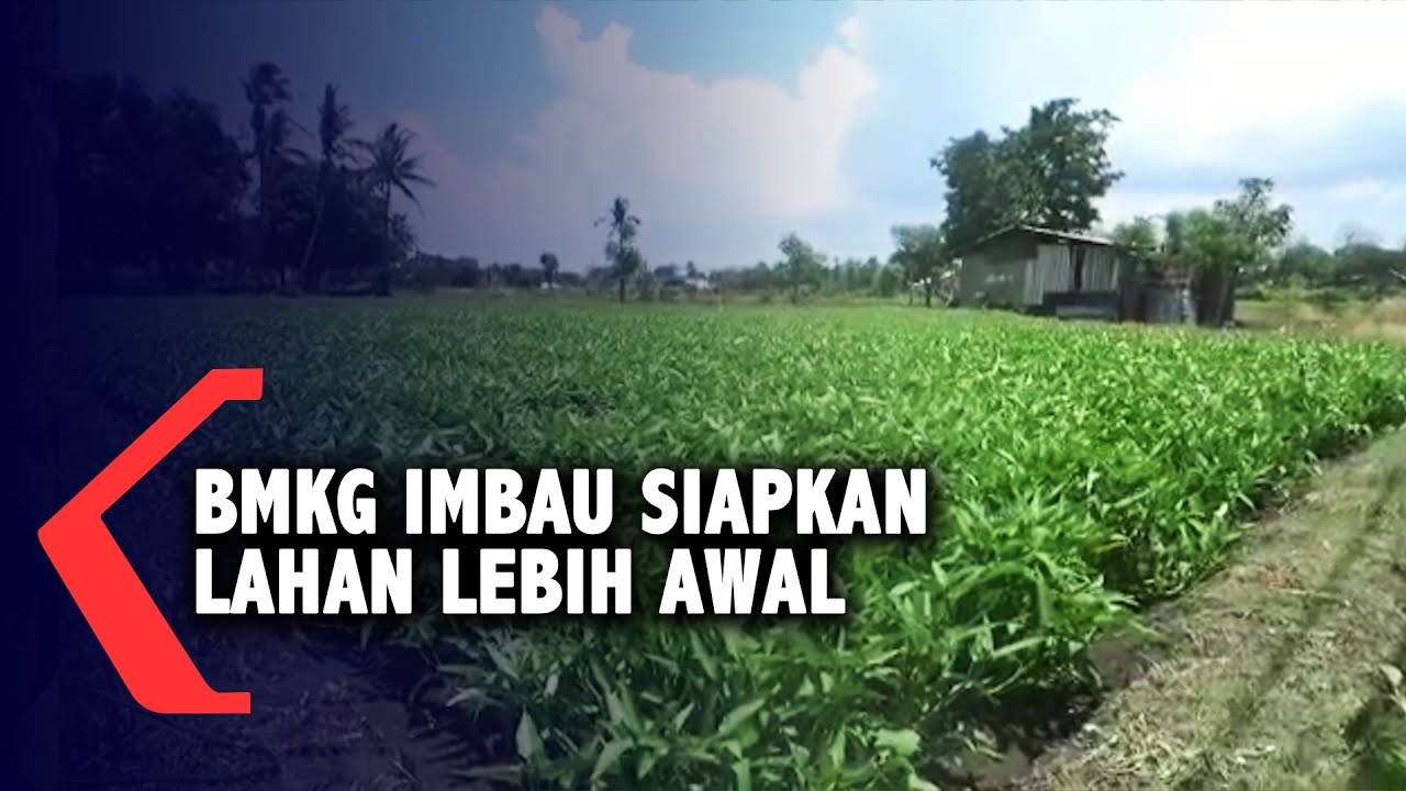 NTT Masuk Masa Pancaroba, Warga Diimbau Siapkan Lahan Pertanian Lebih Awal