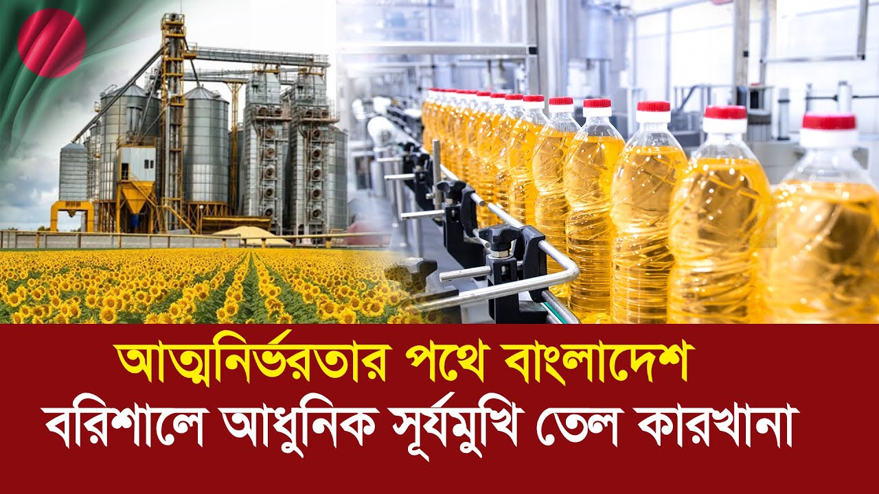 বরিশালে বিপ্লব ঘটাচ্ছে সূর্যমুখী তেল কারখানা !! বাংলাদেশ এখন আত্মনির্ভরতার পথে !! Sunflower oil