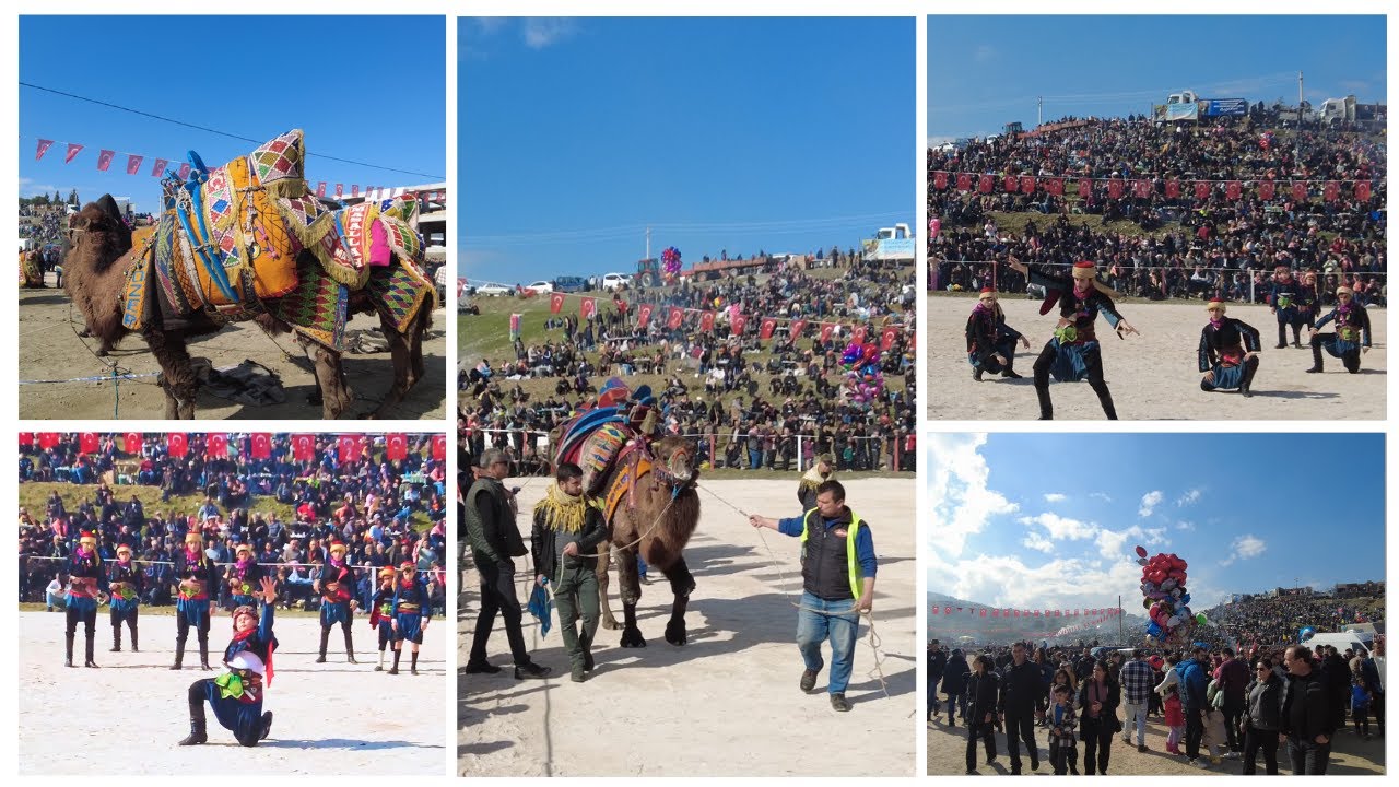 Kınık Deve Güreşi, Deve Güreşi Festivali 2025, Deve Güreşine Gittik - Köyde Hayat