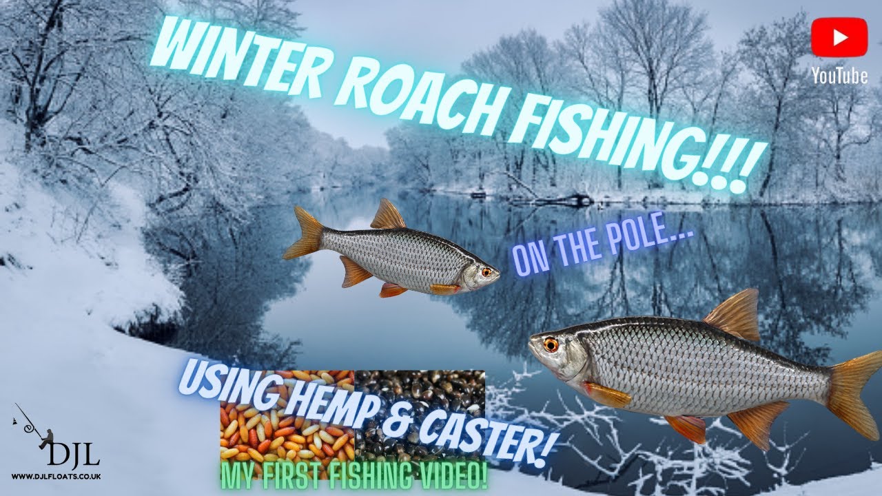 ROACH Fishing... WINTER Roach on the Pole using Elder-Pith pole floats.. VERY COLD conditions!!!