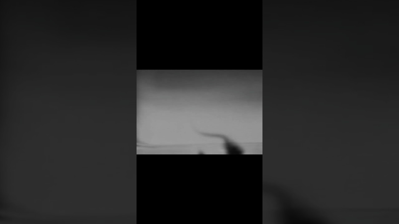 Found Footage Film 