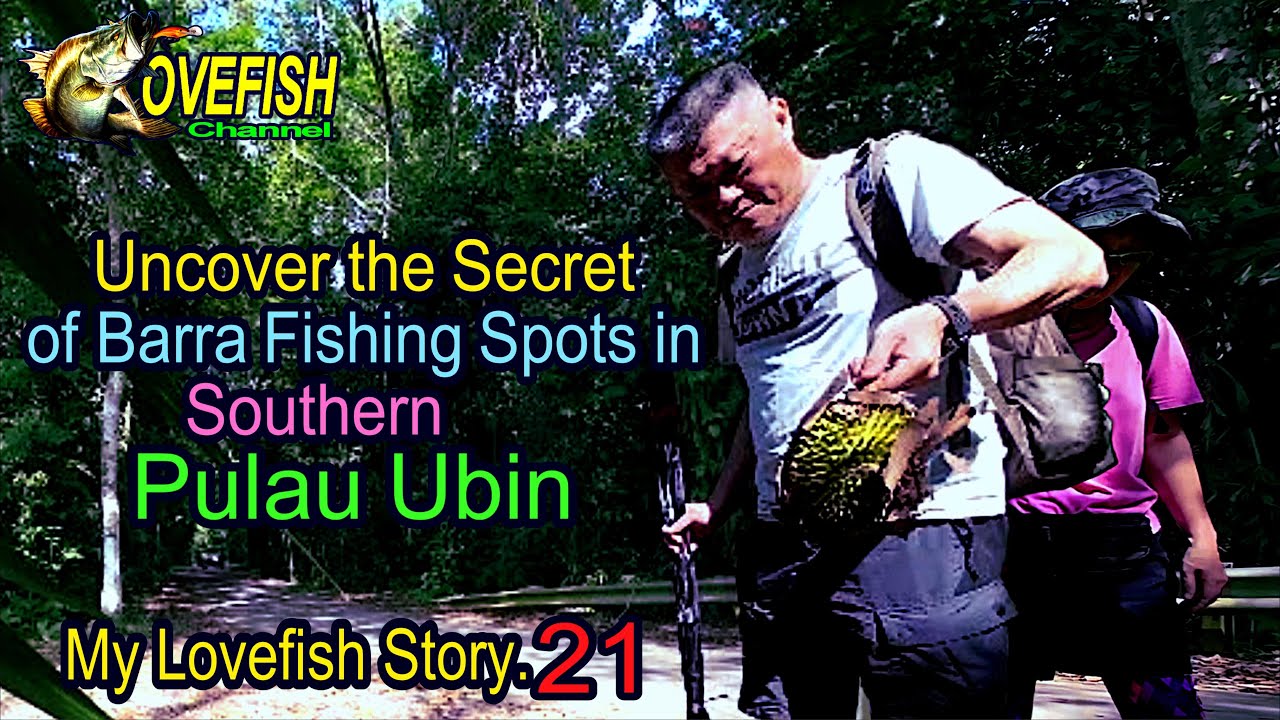 Expedition.2 Southern Pulau Ubin in Durian Season - My Lovefish Story.21