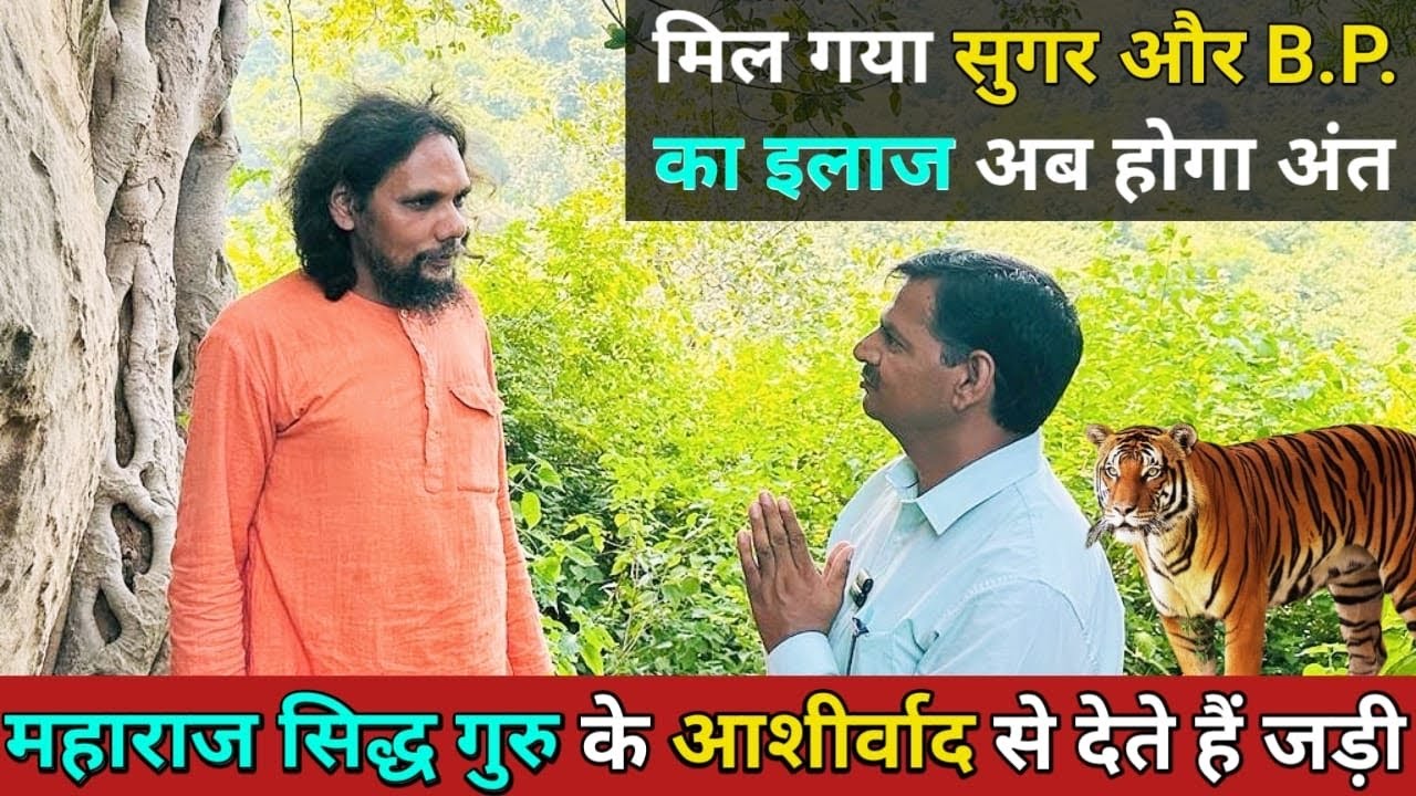सिद्ध गुरु के आशीर्वाद से दिव्य संत करते है सुगर और B.P. जैसी खतरनाक बीमारी का निःशुल्क इलाज