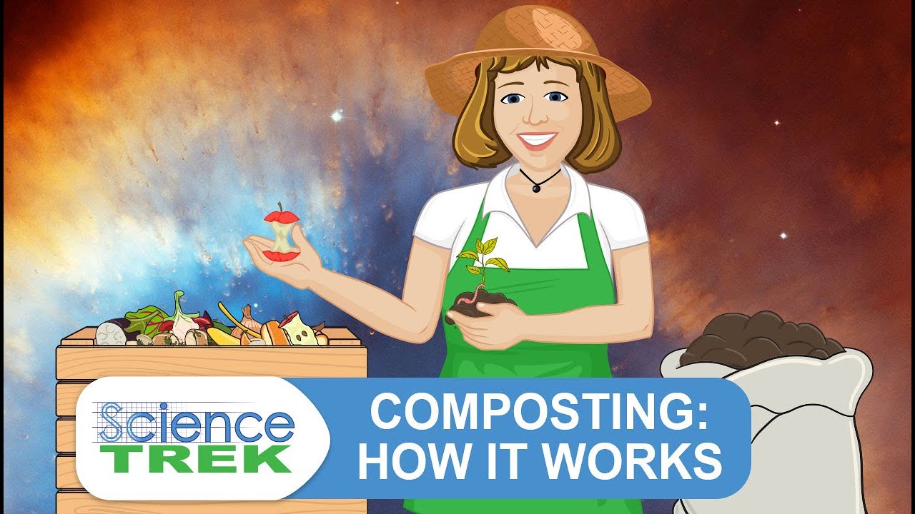 Composting: How It Works | Science Trek