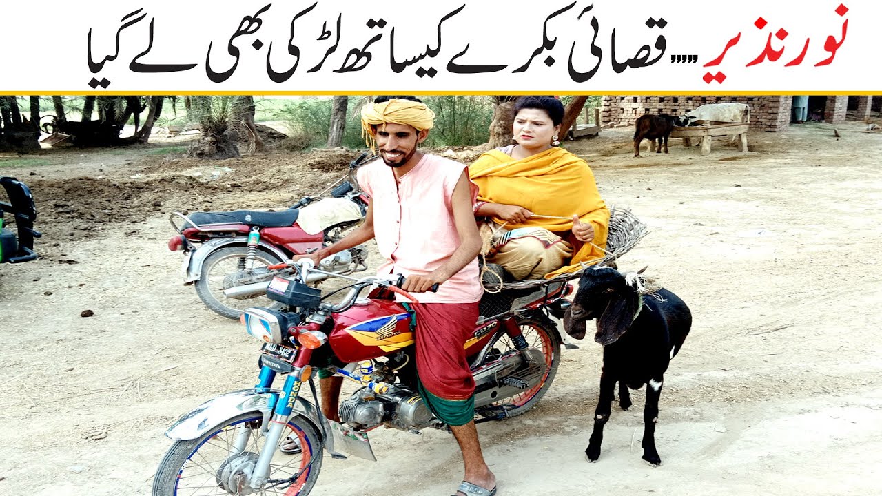 Noor Nazeer Qasai Larki Ly Gaya New Funny Comedy Video | Most Comedy Funny Video | You Tv2 Hd 2025
