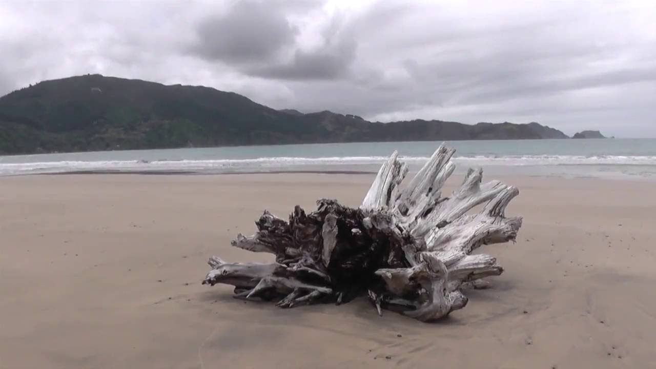 Scenes of New Zealand: Anaura & Tolaga Bays
