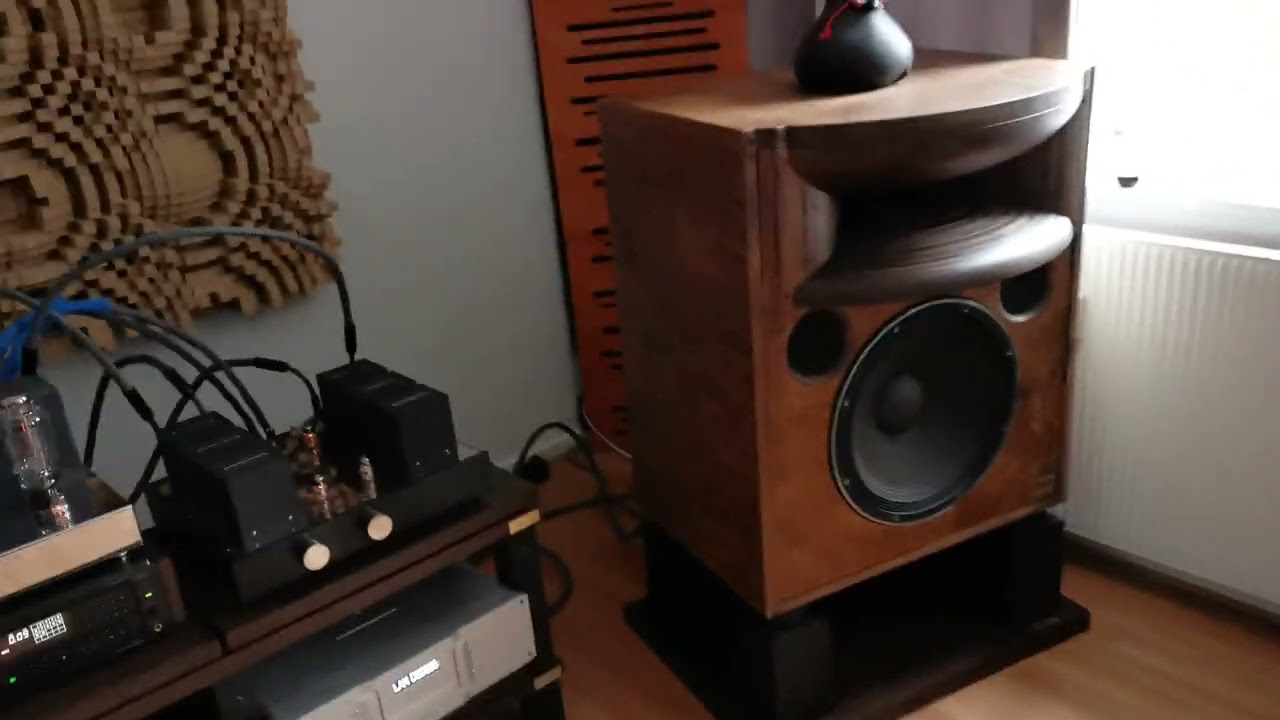 Zikra Audio 300B, Sony 557esd, Shunyata Triton V3, Rockna Wavedream Net, TAD 2402
