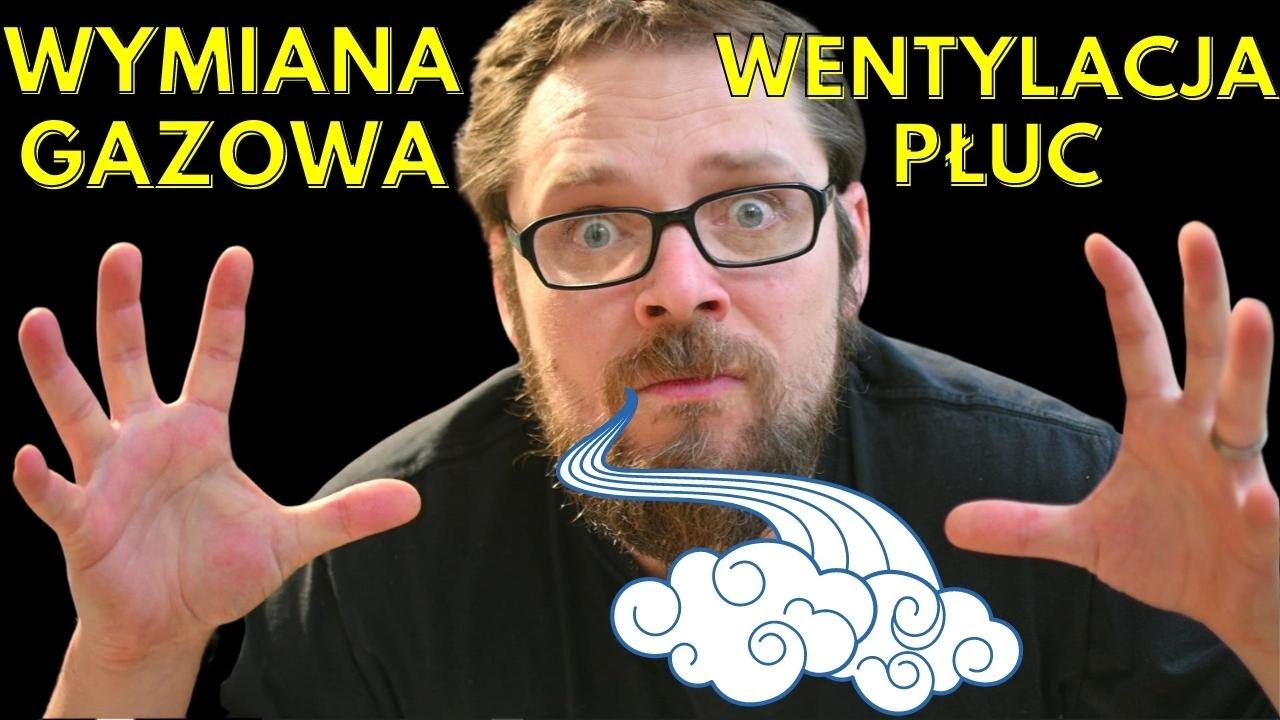 Wentylacja płuc i wymiana gazowa - ciekawe procesy składające się na oddychanie