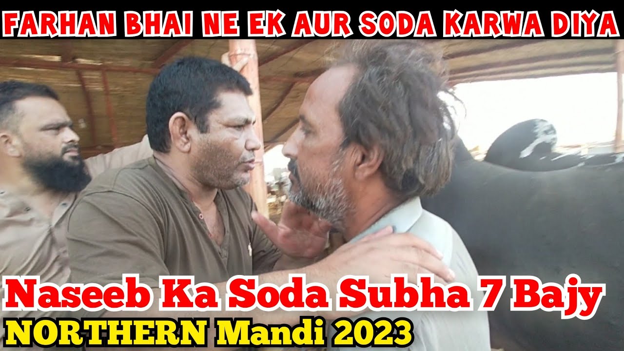 Alhamdulillah Ek Aur Soda Zeeshan Bhai Ka Farhan Bhai Chah Gaye Aty Hi || Northern Mandi Bargaining
