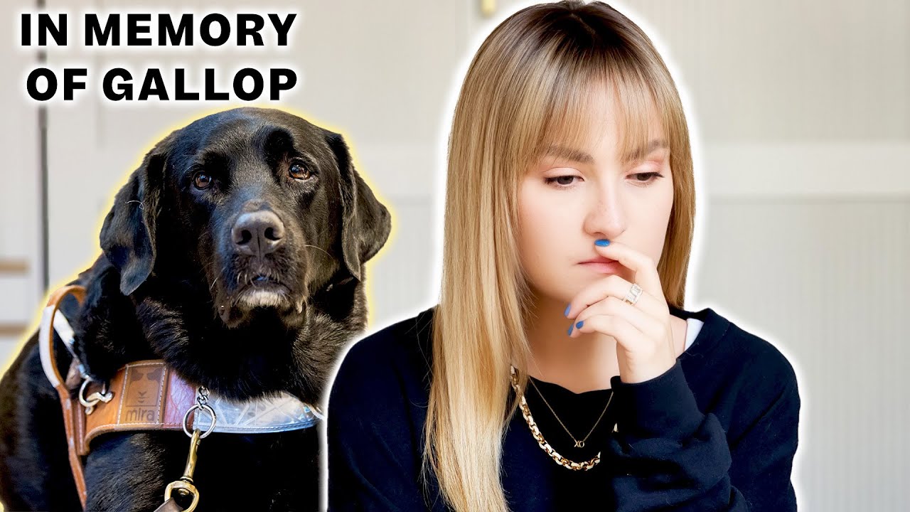 Gallop passed away and I’m ready to talk about it… (warning, very emotional!)