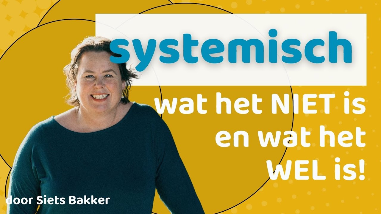 Wat er precies bedoeld wordt als iemand zegt 'systemisch'