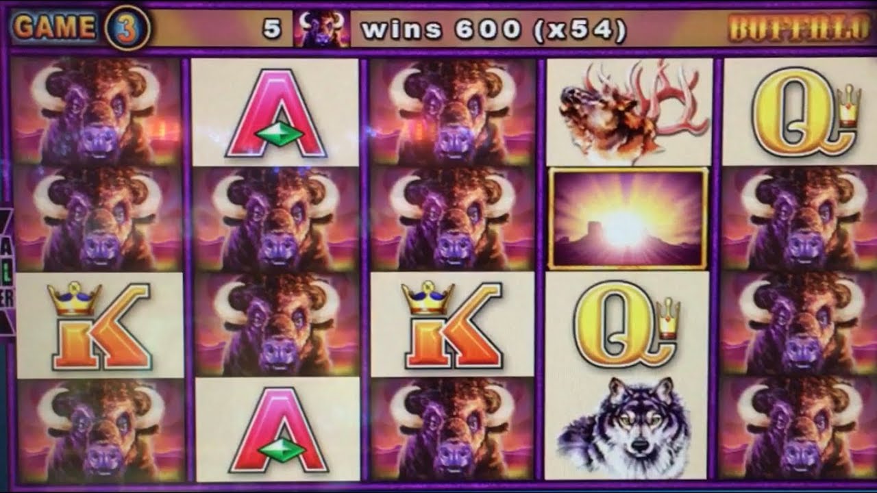 BIG WIN Wonder Four Buffalo 🦬🦬🦬🦬SUPER FREE GAMES 💥