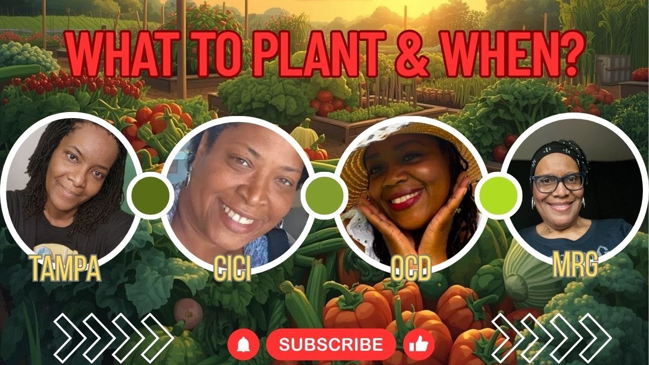 What to Plant Now: Seasonal Gardening Made Easy