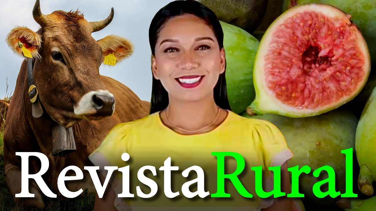 PROGRAMA REVISTA RURAL - 01/02/2026