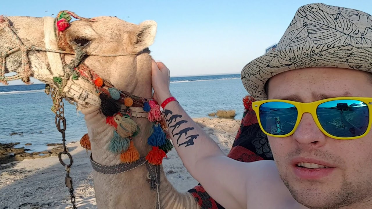 Egypt 2019