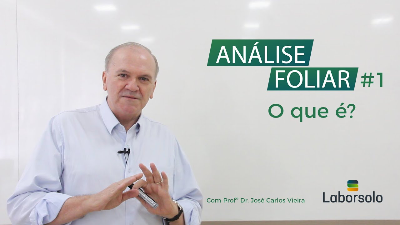 Videoaula Análise Foliar #1- O que é?