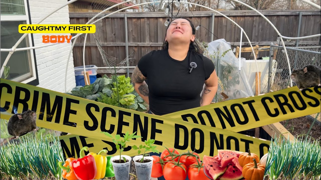 MY FIRST SELF DEFENSE M*RDER | DIY SEEDLING STATION | SOWING SPRING SEEDS 2026 ZONE 8B