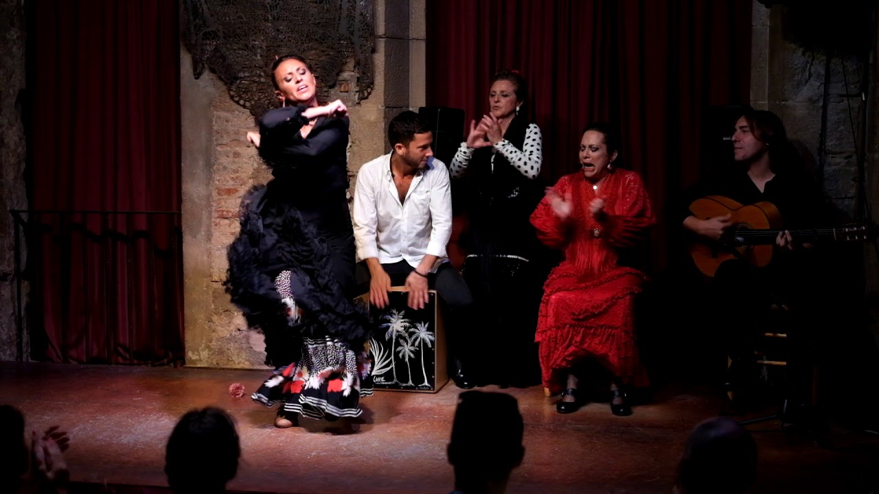 Flamenco show in Barcelona | Palau Dalmases