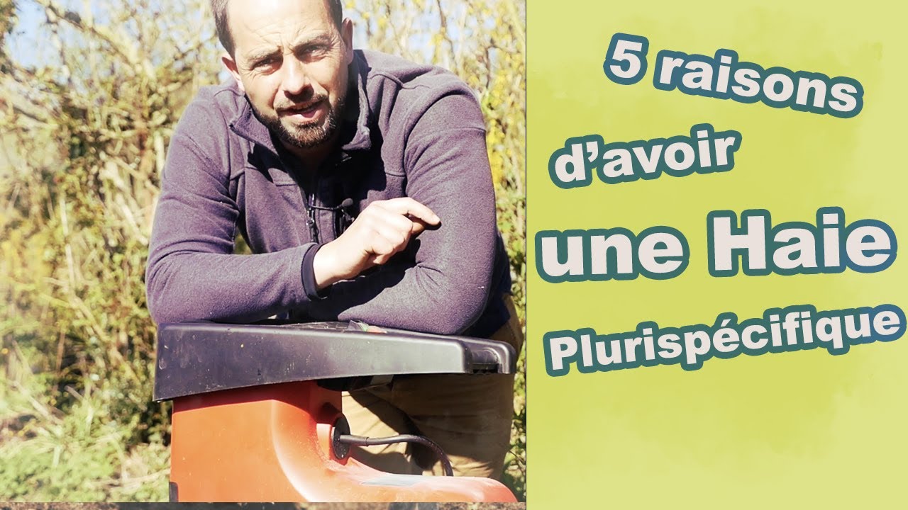 5 avantages d'avoir une haie plurispécifique  et 2 inconvénients