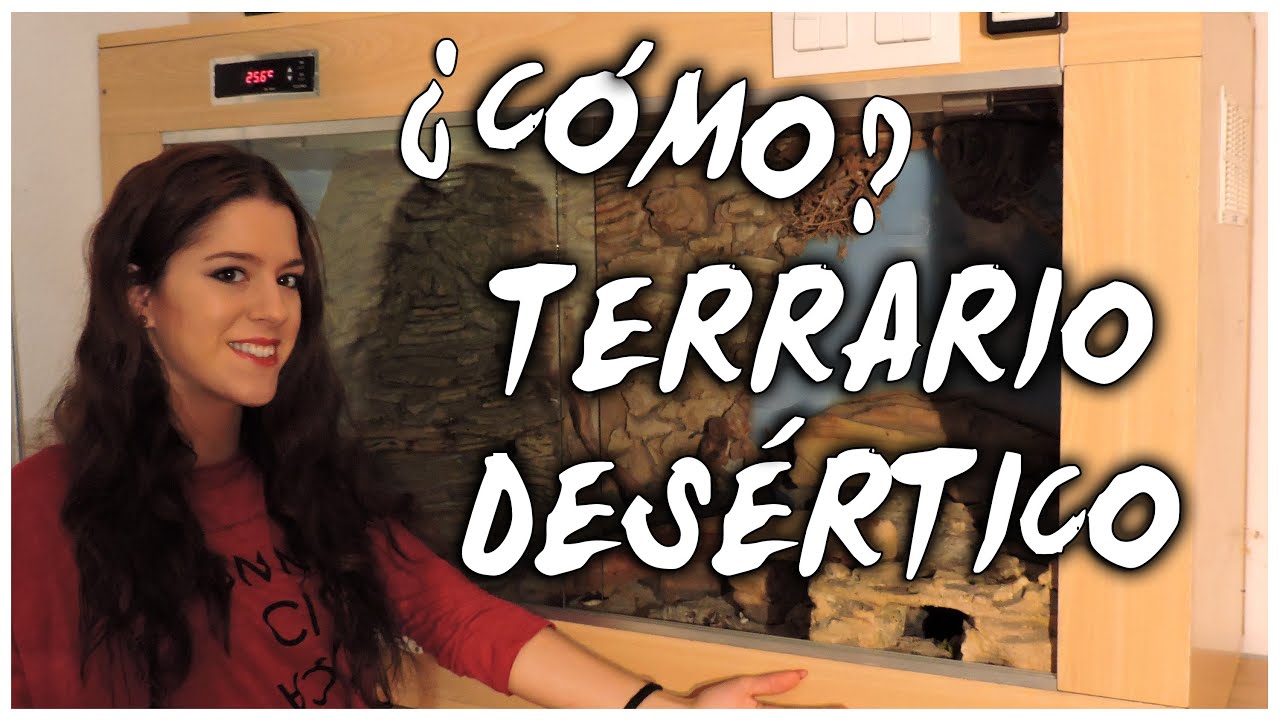 Cómo construir tu terrario desértico o semidesértico
