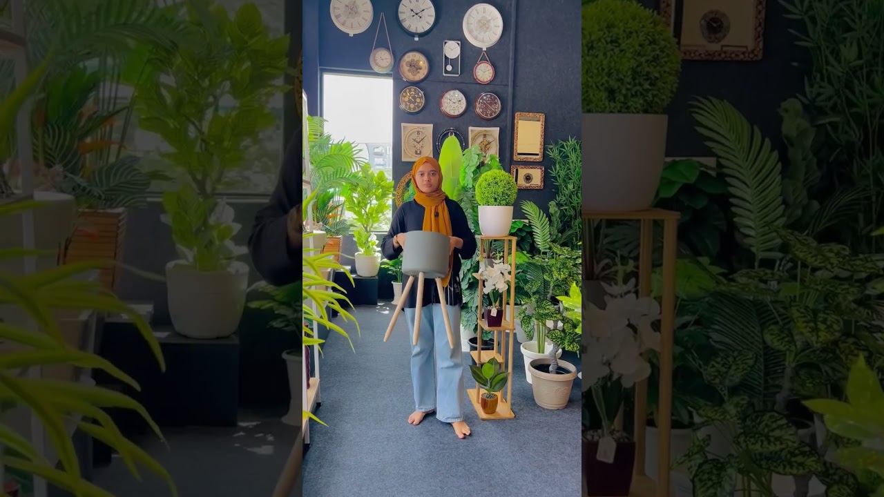 Natural plants or artificial plants 🪴 #home #keralahomedesign #homedecor #keralahomeplanners #home