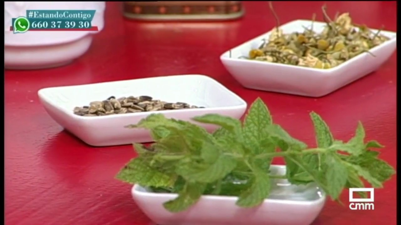 Remedios naturales contra la digestión pesada