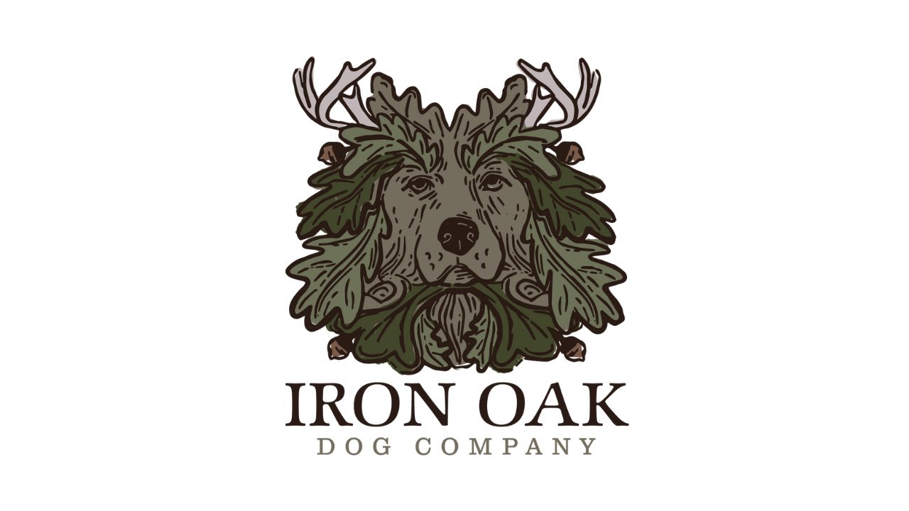 Tips for Handling in NAVHDA and JGHV Tests - Iron Oak Dog Co.