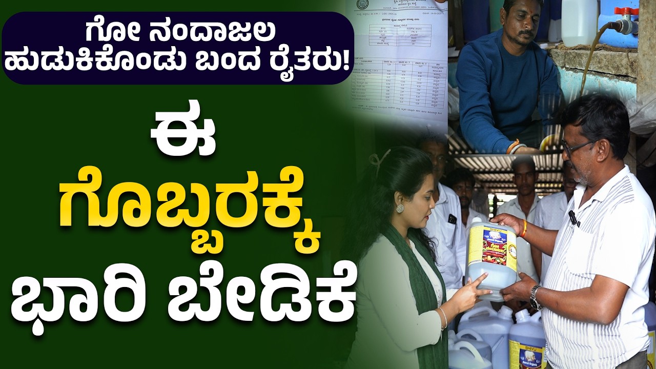 ಈ ಗೊಬ್ಬರಕ್ಕೆ ಭಾರಿ ಬೇಡಿಕೆ ಗೋ ನಂದಾಜಲ ಹುಡುಕಿಕೊಂಡು ಬಂದ ರೈತರು! #gonandajala #ಗೋ_ನಂದಾಜಲ
