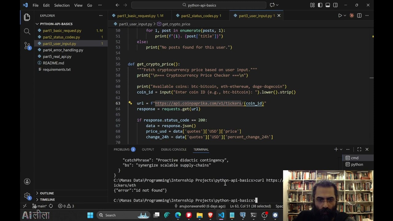What is an API and how to access it in Python -