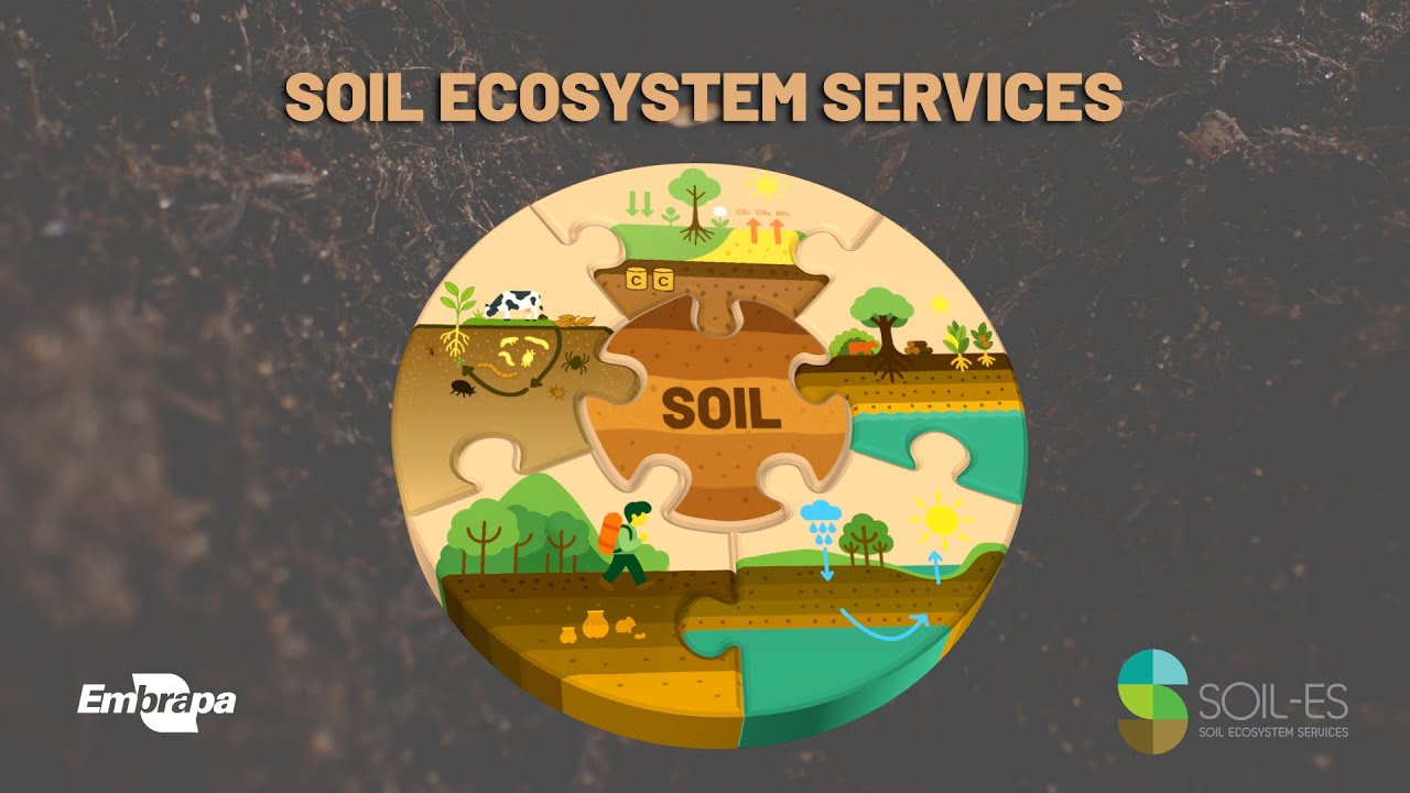 Soil ecosystem services