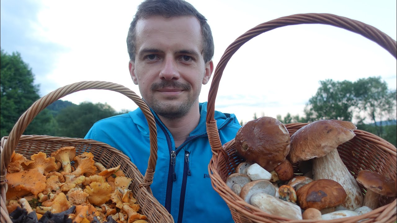 UDANE GRZYBOBRANIE nad strumieniem