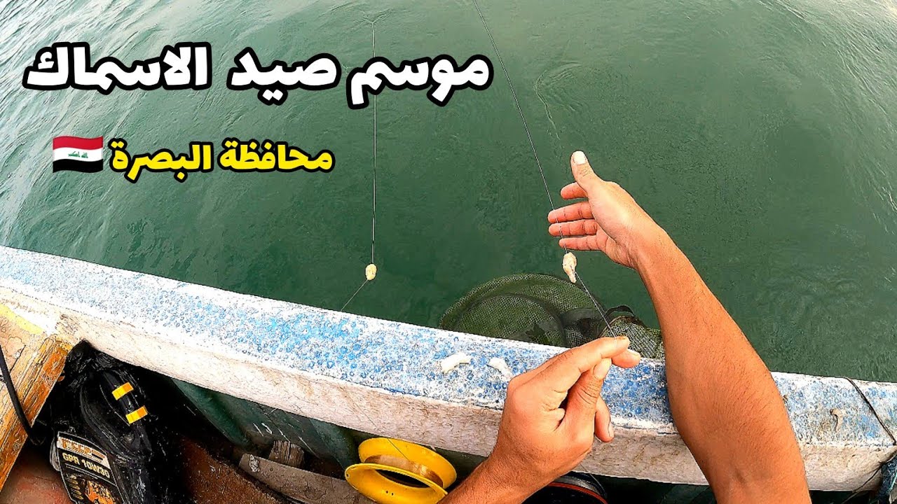 موسم صيد اسماك الشانك في شط العرب #الصياد_وسام_الزينبي