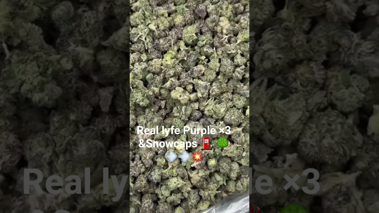 Real purple&times;3 and snowcap 🌳💨💥⛽️ #fypyoutube #fypシ #fypシ゚viral #repost #share #comment #follow