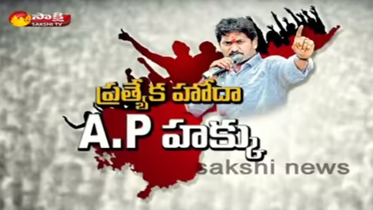 YS Jagan Mohan Reddy Fight for AP Special Status - Watch Exclusive