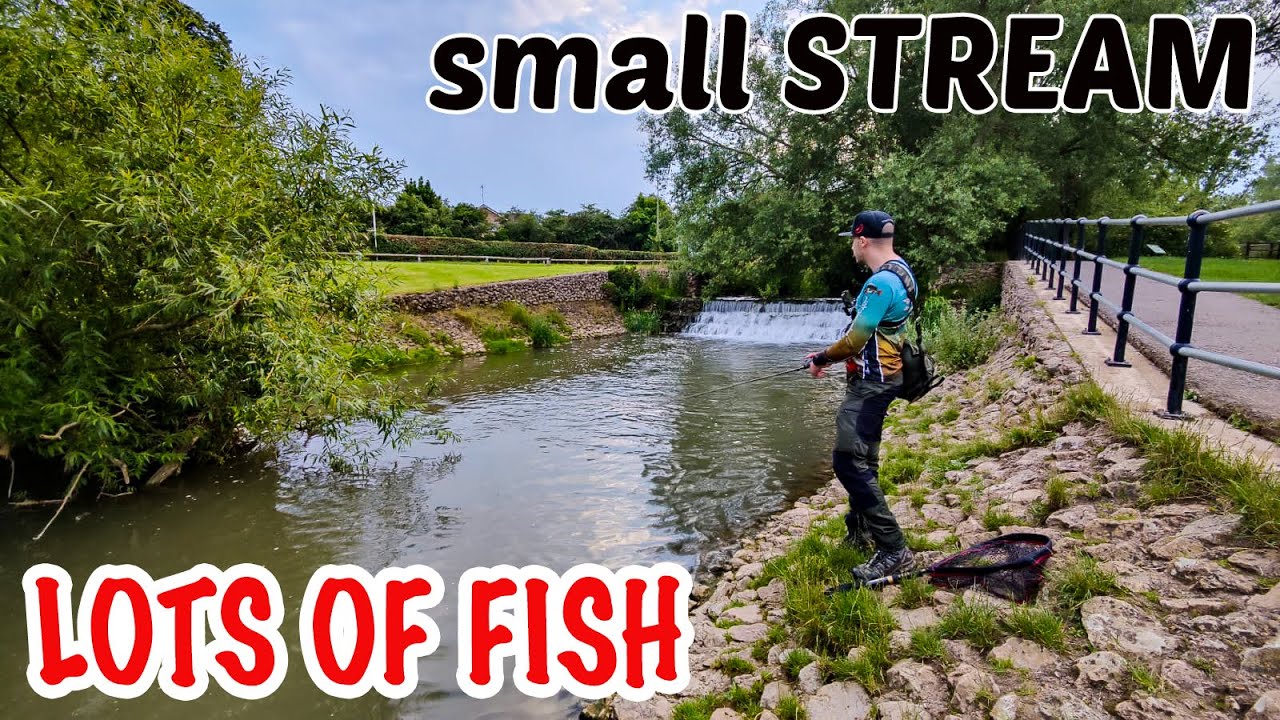 CHUB FISHING with lures on a small river | River fishing for chub