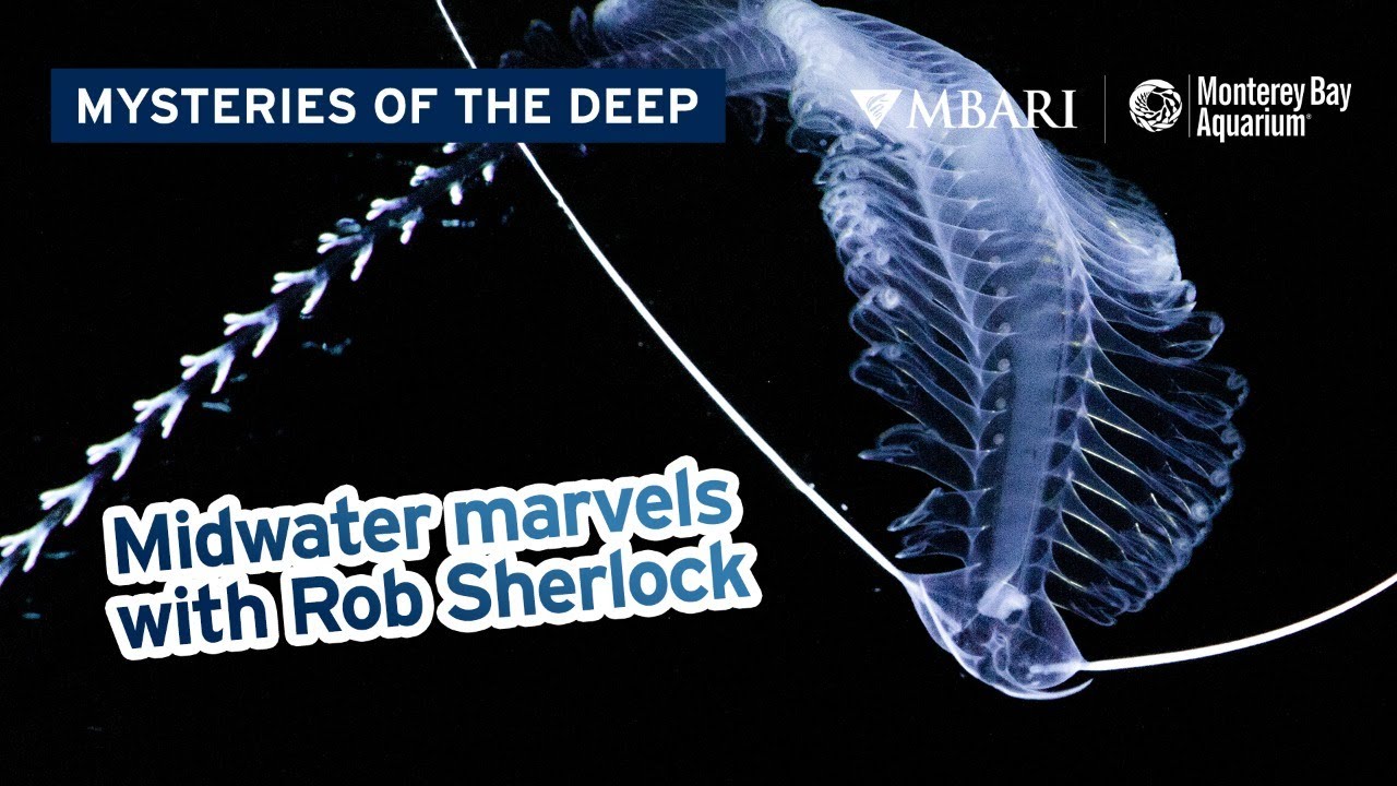 Mysteries of the Deep with MBARI's Rob Sherlock &mdash; Midwater Marvels of Monterey Bay