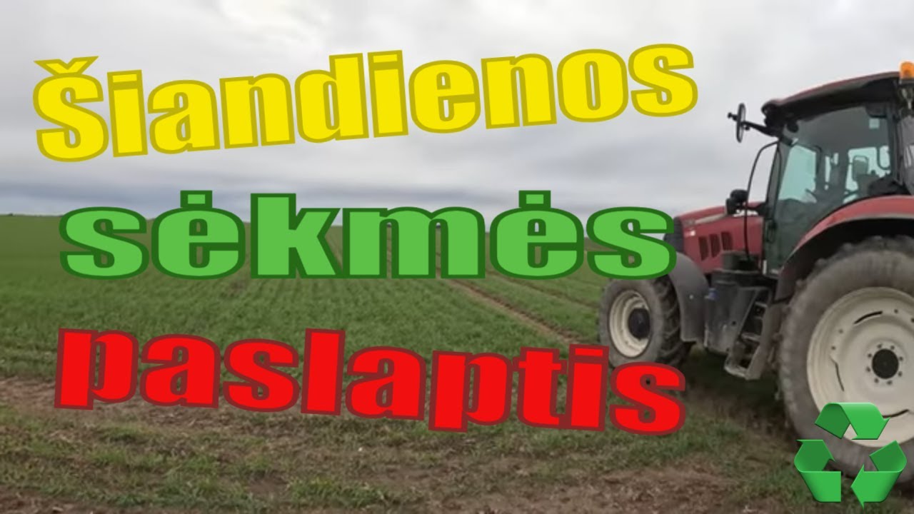 Žieminių kviečių tręšimas ŠIANDIENOS SĖKMĖS PASLAPTIS💥