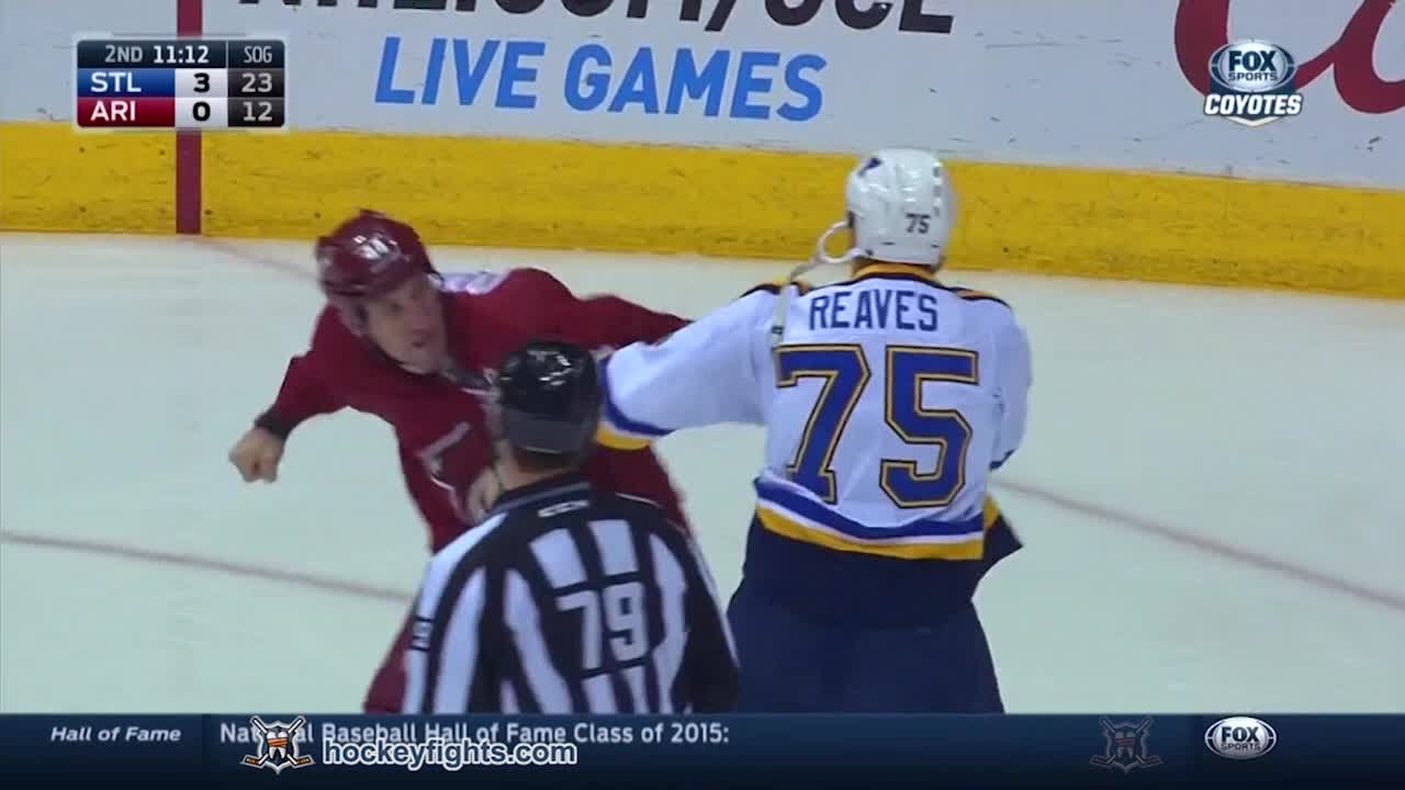 Ryan Reaves vs B.J. Crombeen Jan 6, 2015