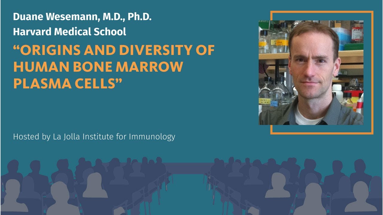 Origins and diversity of human bone marrow plasma cells - Duane Wesemann, M.D., Ph.D.