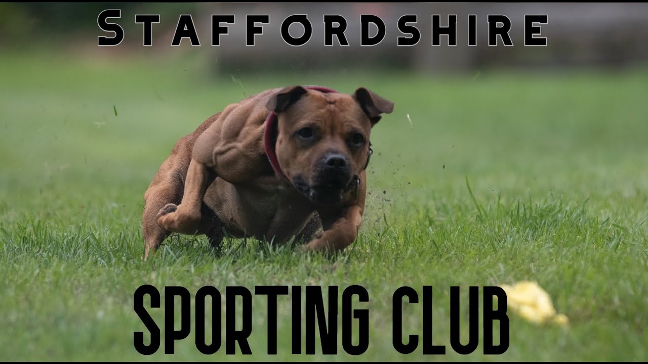 Welcome to Hardrock Staffords Sporting Club