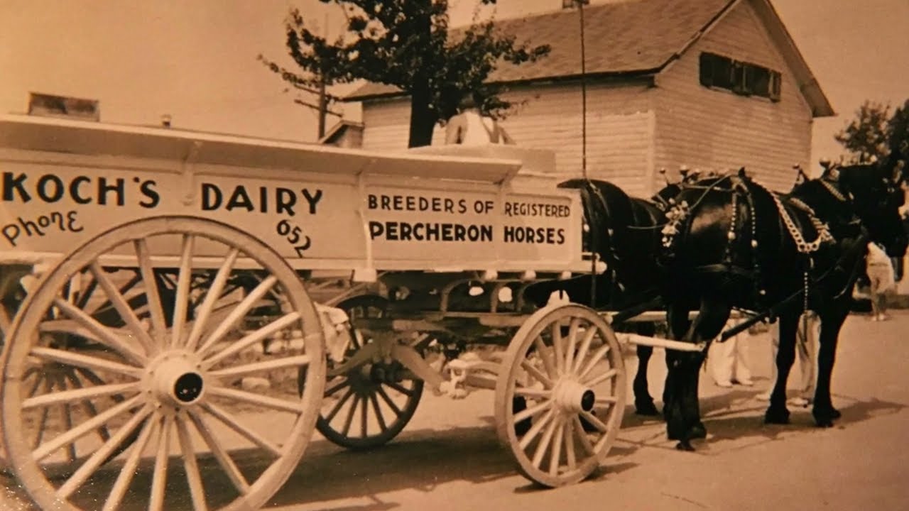 Talk of the Town - William Koch Citizen Spotlight